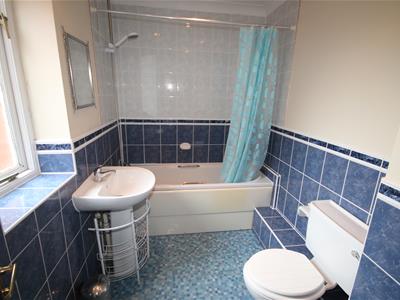 Picture 11